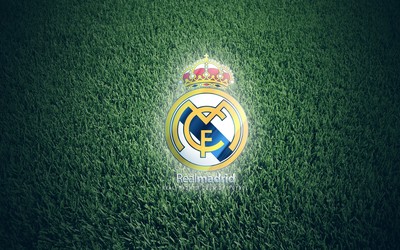 熊猫体育精华-世界杯小组赛遗憾出局